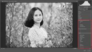 preset camera raw