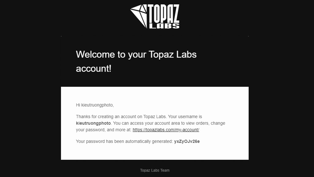 Bộ ổn định hình ảnh Topaz Sharpen AI
