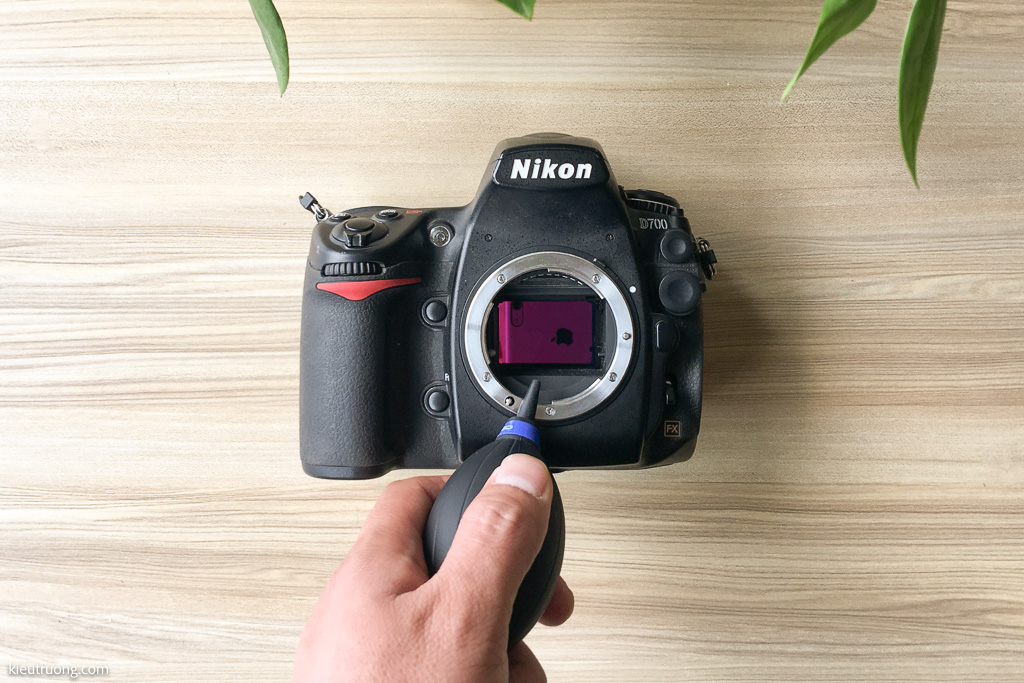 Cách vệ sinh cảm biến máy ảnh Nikon