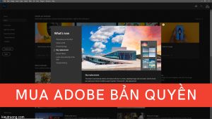 hướng dẫn mua bản quyền adobe