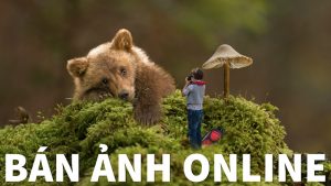 Bán ảnh Online ở đâu