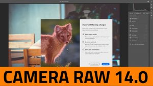 Camera Raw 14.0