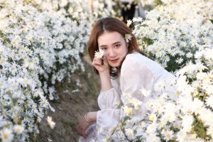 chụp ảnh cúc họa mi