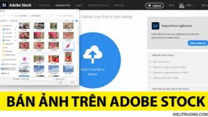 cách bán ảnh trên Adobe Stock