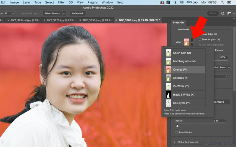 Chọn View Mod trong Selec and Mask