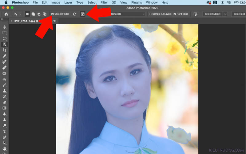 Đánh dấu vào Object Finder