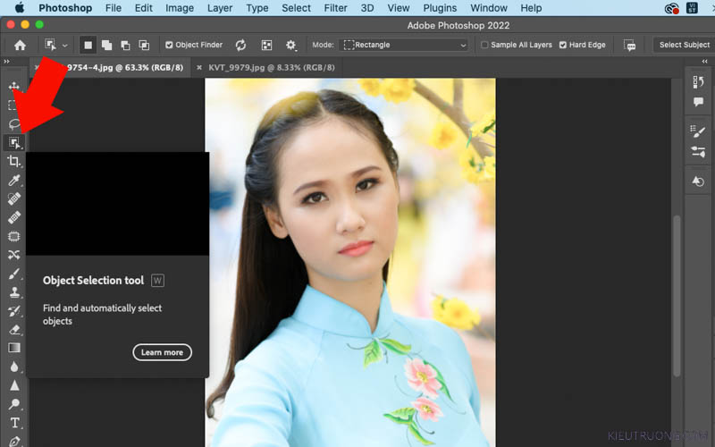 Nhấn chuột vào Object Selection Tool