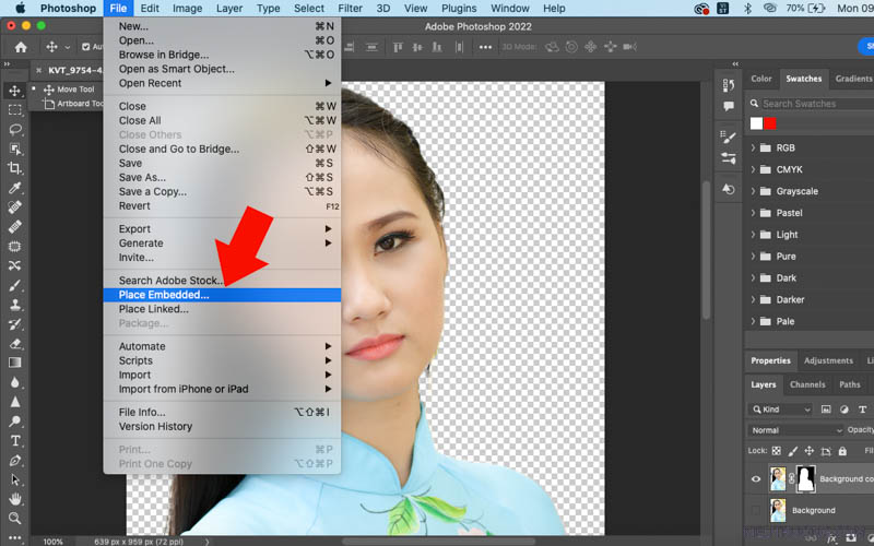 Nhấp vào File chọn Place Embedded