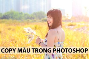 Cách Copy màu trong Photoshop