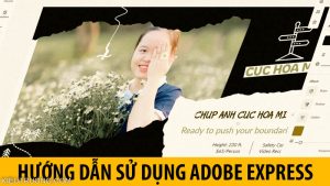 Hướng dẫn sử dụng Adobe Express