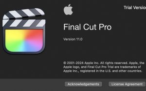 Final Cut Pro 11