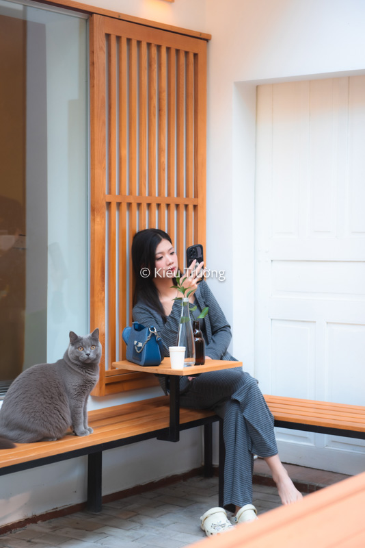 Kết quả thêm con mèo vào ảnh bằng Photoshop AI Assistant