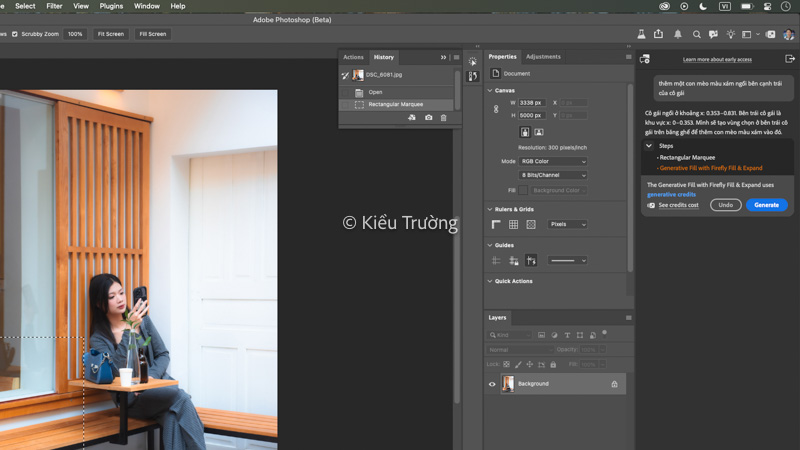 Sử dụng Photoshop AI Assistant để ghép con mèo vào ảnh