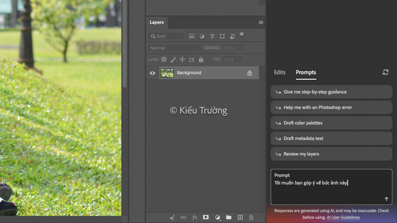 Yêu cầu Photoshop nhận xét ảnh bằng AI Assistant